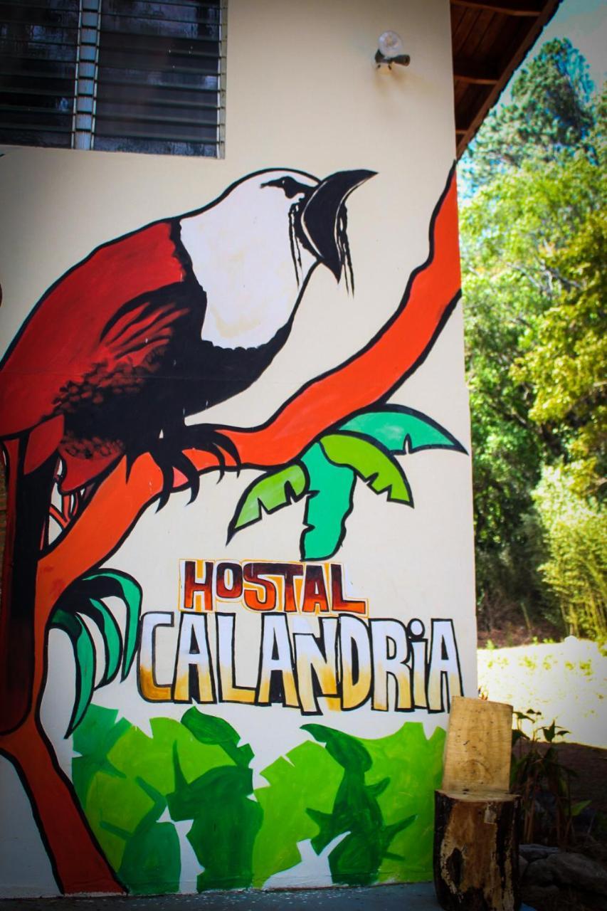 Hostal Calandria Bajo Bajo Boquete Exterior foto